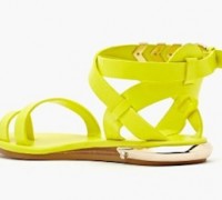 yellowshoe